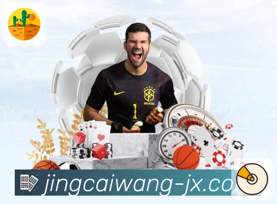 竞彩网网页端，彩种历史开奖信息和全国走势清晰呈现